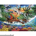 Buffalo Games Marine Color Shipwreck Reef 1000 Piece Jigsaw Puzzle  B07D8HYKTR